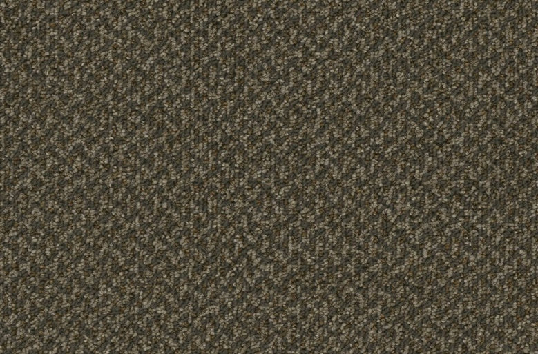 Pentz Outlaw Carpet