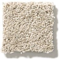 Shaw Charmed Hues Waterproof Carpet