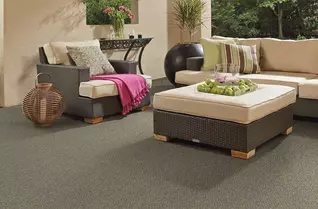 Shaw Natural Path Outdoor Carpet