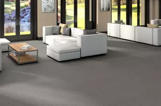 Shaw Profusion Carpet
