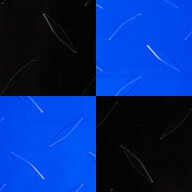 Black/Shelby Blue Checker