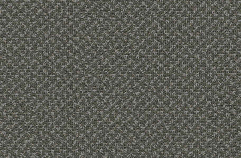 Pentz Outlaw Carpet