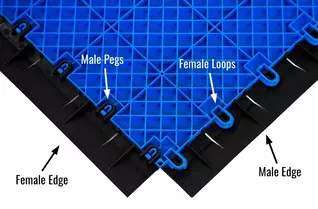 ProGym Female Edge
