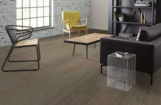 Shaw Document Carpet Tiles
