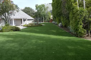 Tacoma Artificial Turf Rolls