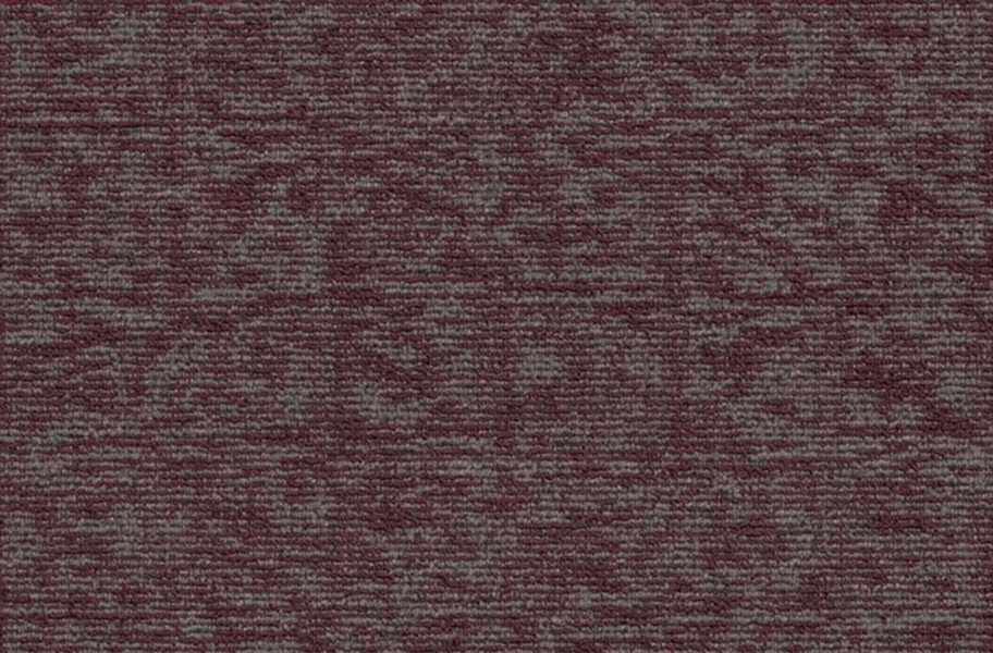 Shaw Elemental Carpet