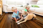 Toscana Maple Engineered Hardwood