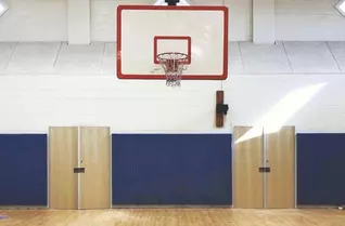 2' x 5' Wall Pads
