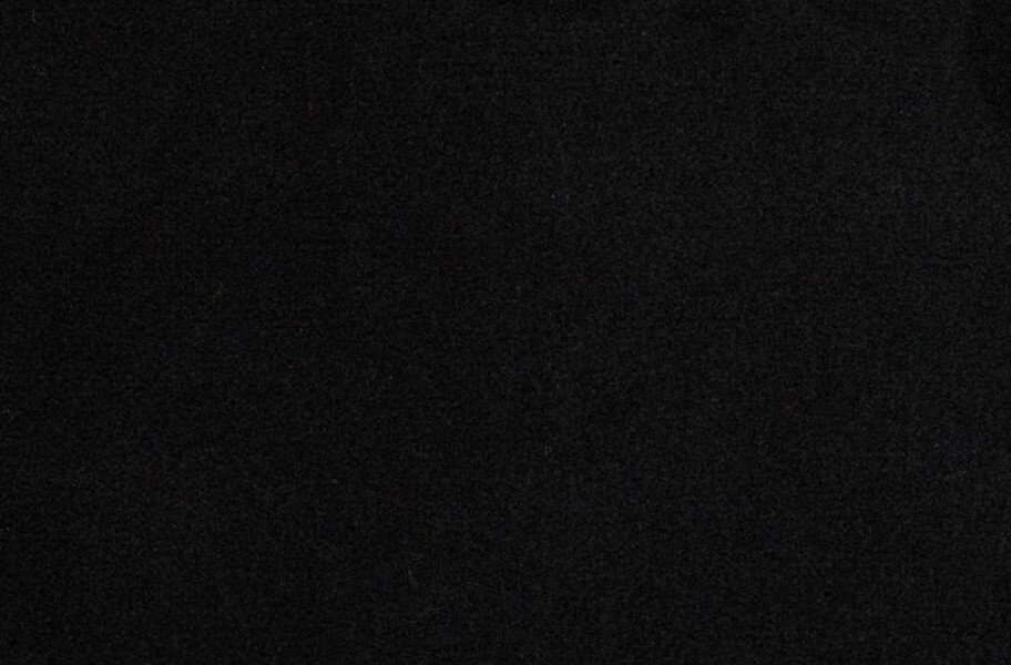 Shaw Softscape I Outdoor Carpet