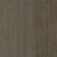 Shaw Disclose Carpet Tile