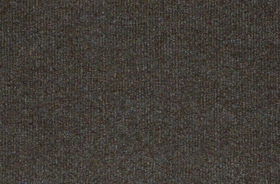 Shaw Windsurf Outdoor Carpet