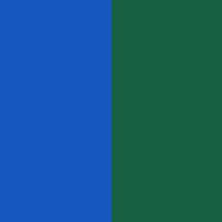 Shelby Blue/Evergreen