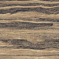 Zebrawood