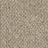 Shaw Natural Path Outdoor Carpet