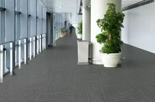 Pentz Visionary Carpet Tiles