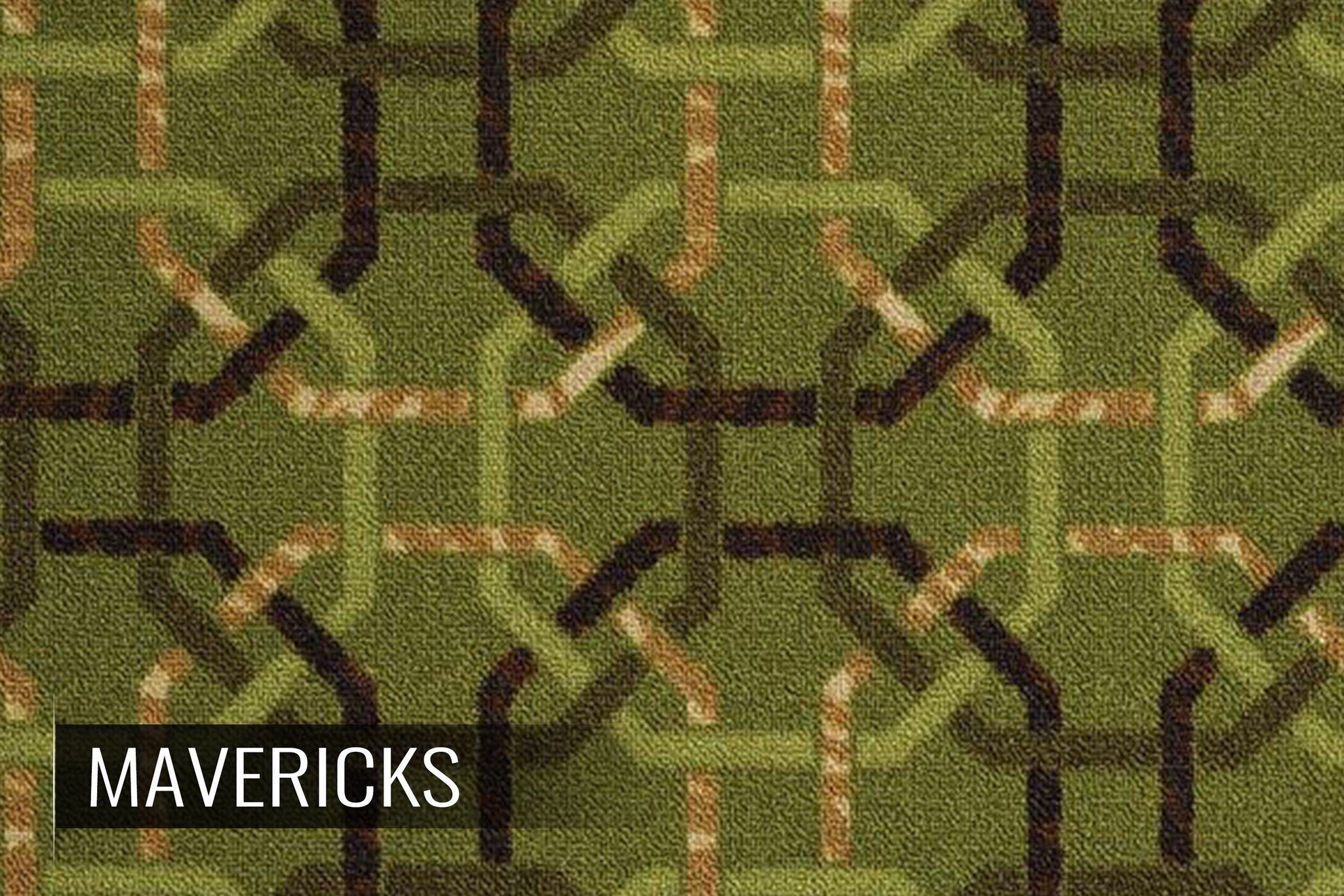 Shaw Ins and Outs Carpet