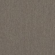 Shaw Profusion 20 Carpet