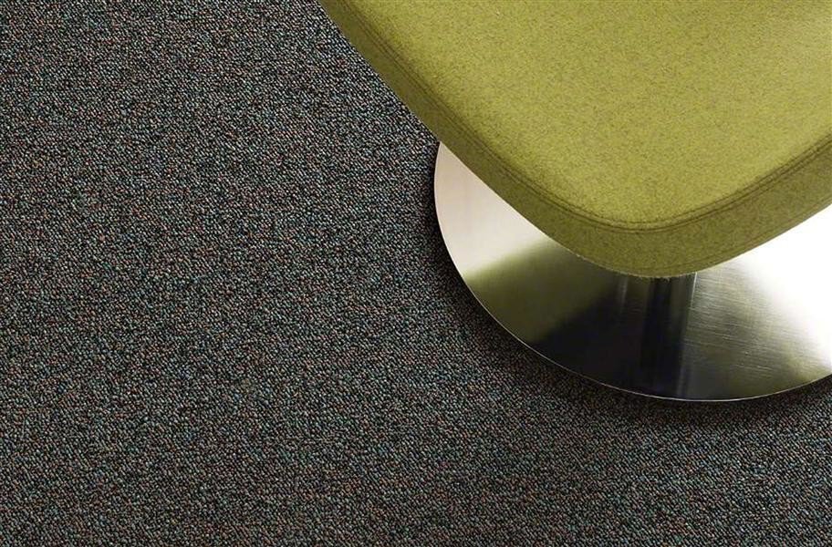 Shaw Scoreboard II Carpet