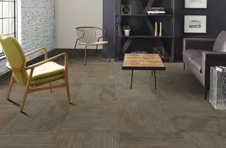 Shaw Declare Carpet Tile