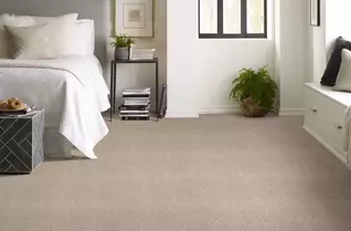 Shaw Calm Serenity I Waterproof Carpet