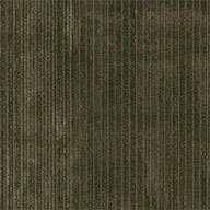 Shaw Wildstyle Carpet Tile