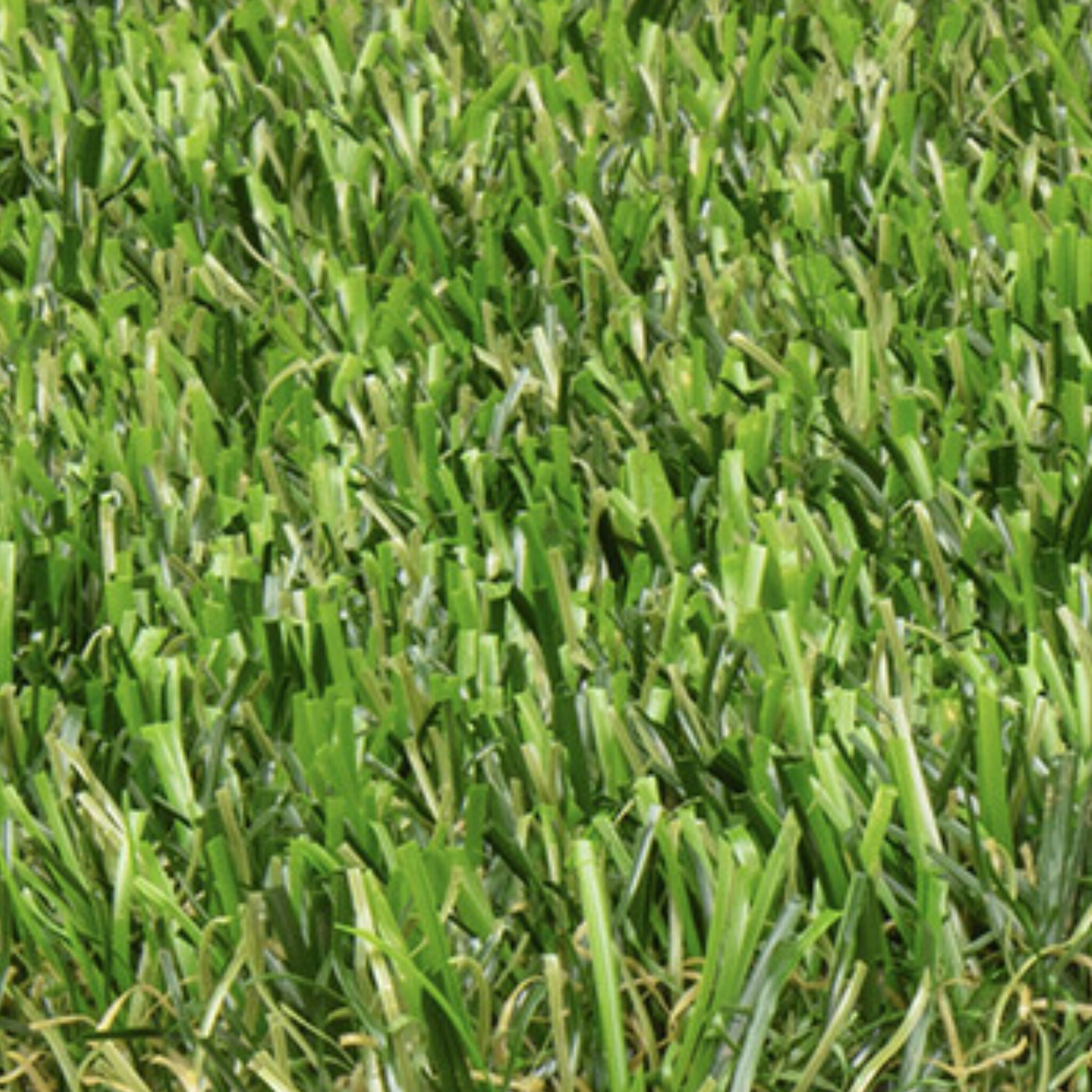 HeatGuard Blend Cool Turf - Artificial Grass Rolls