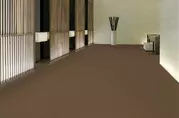Shaw Beacon II Outdoor Carpet