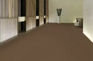 Shaw Beacon II Outdoor Carpet