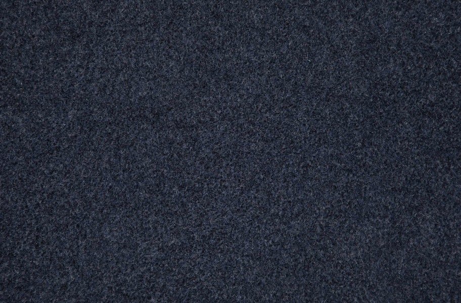 Lakeshore Indoor Outdoor Carpet