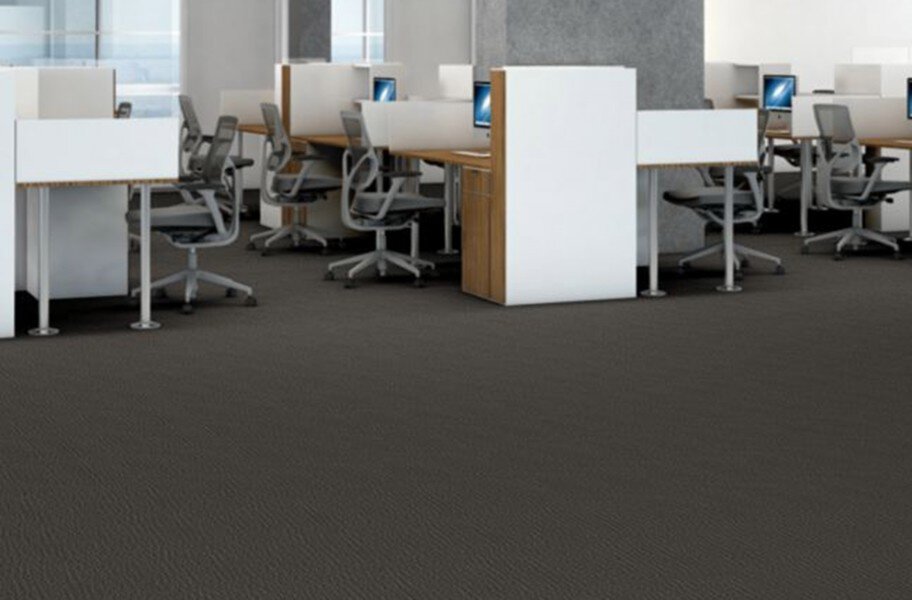 Shaw Function Carpet