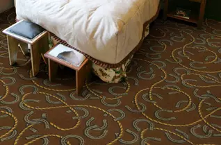Joy Carpets Rodeo Carpet