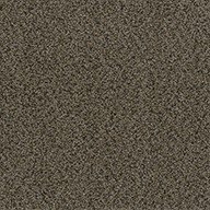 In a Snap Carpet Tile with Pad