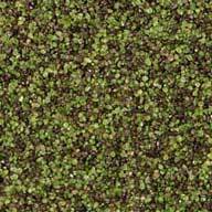 Putting Green Infill