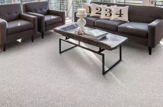 Joy Carpets Lazy Day Carpet