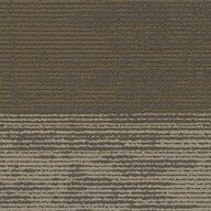 Pentz Universe Carpet Planks