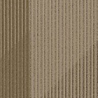 Shaw Block By Block Carpet Tiles