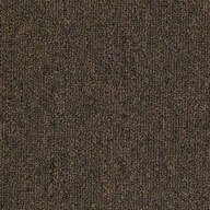 Shaw Outside Agenda Outdoor Carpet