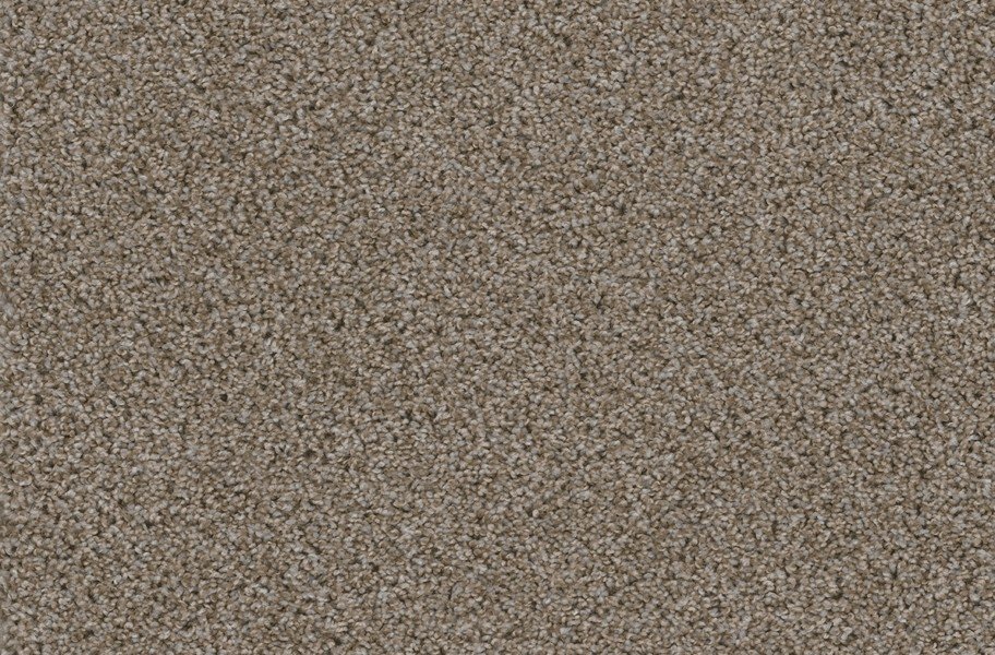 Walk in the Park Carpet Tile with Pad