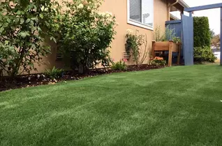 Monterey Elite Turf Rolls
