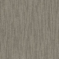 Shaw Genius Carpet Tile
