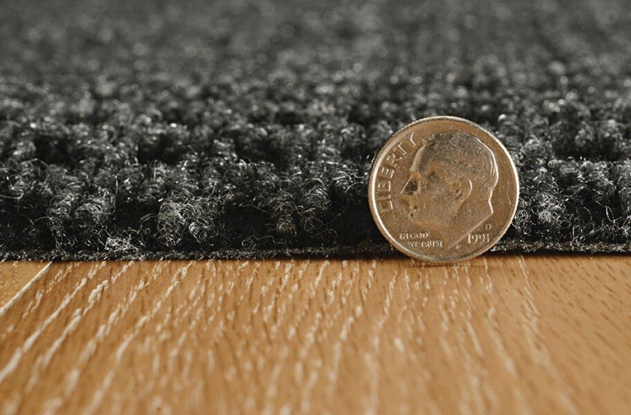 Pindot Indoor Outdoor Rug