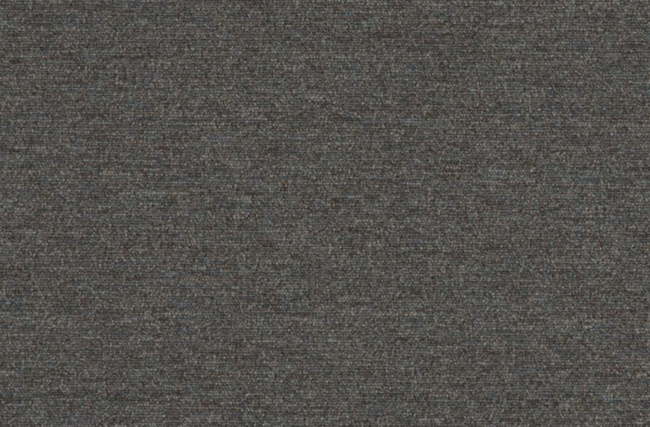 Shaw Profusion 20 Carpet