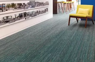 Shaw Stellar Carpet Planks