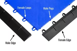 ProGym Male Edge
