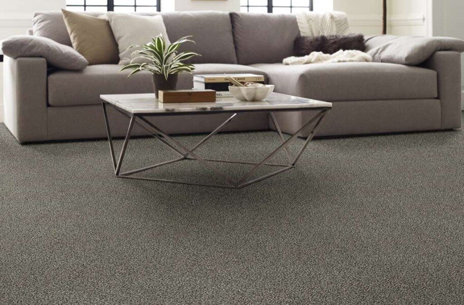 Shaw Perpetual I Waterproof Carpet