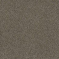 Walk in the Park Carpet Tile with Pad