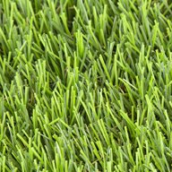 Riviera Elite Turf Rolls