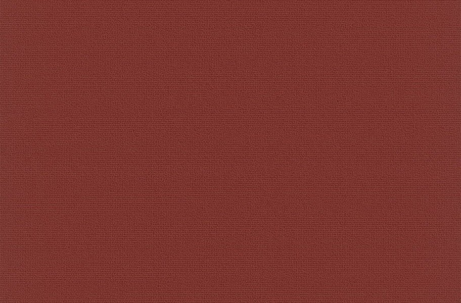 Pentz Colorburst Carpet Tile