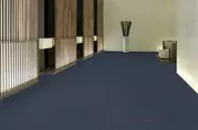 Shaw Commons II Outdoor Carpet