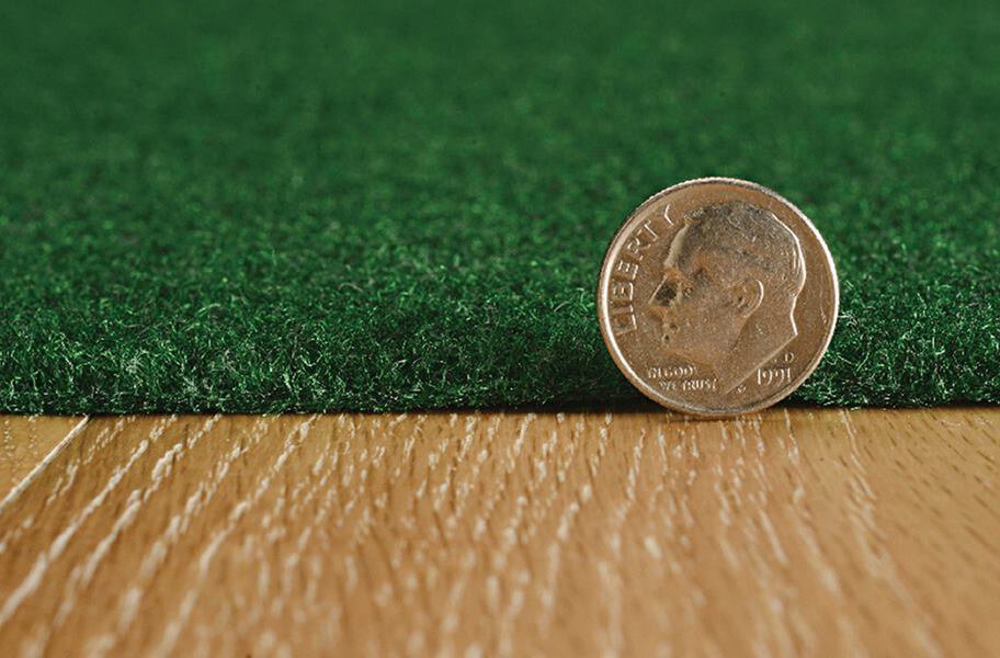 Dilour Green Indoor Outdoor Area Rug